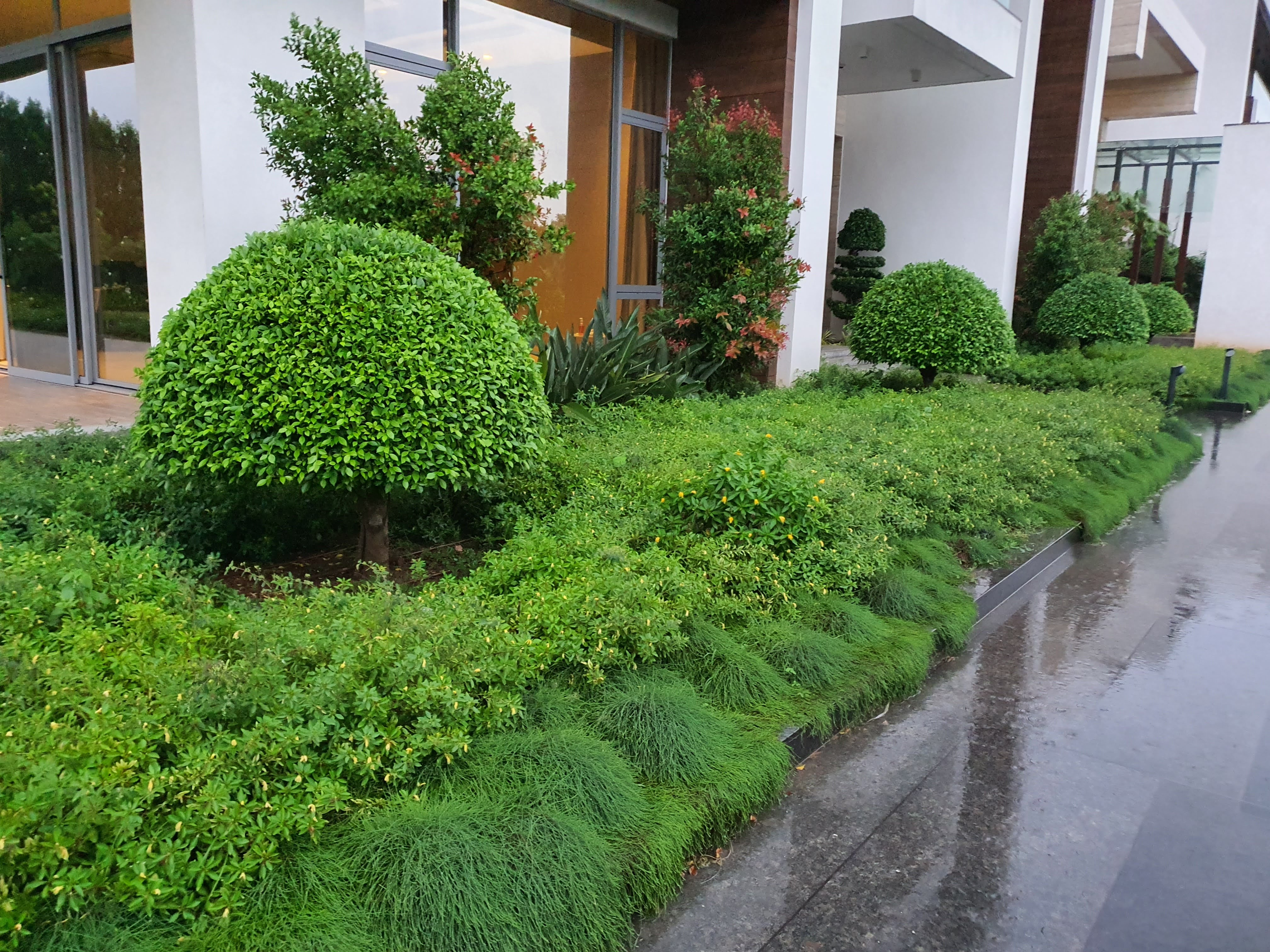 Commercial landscaping image
