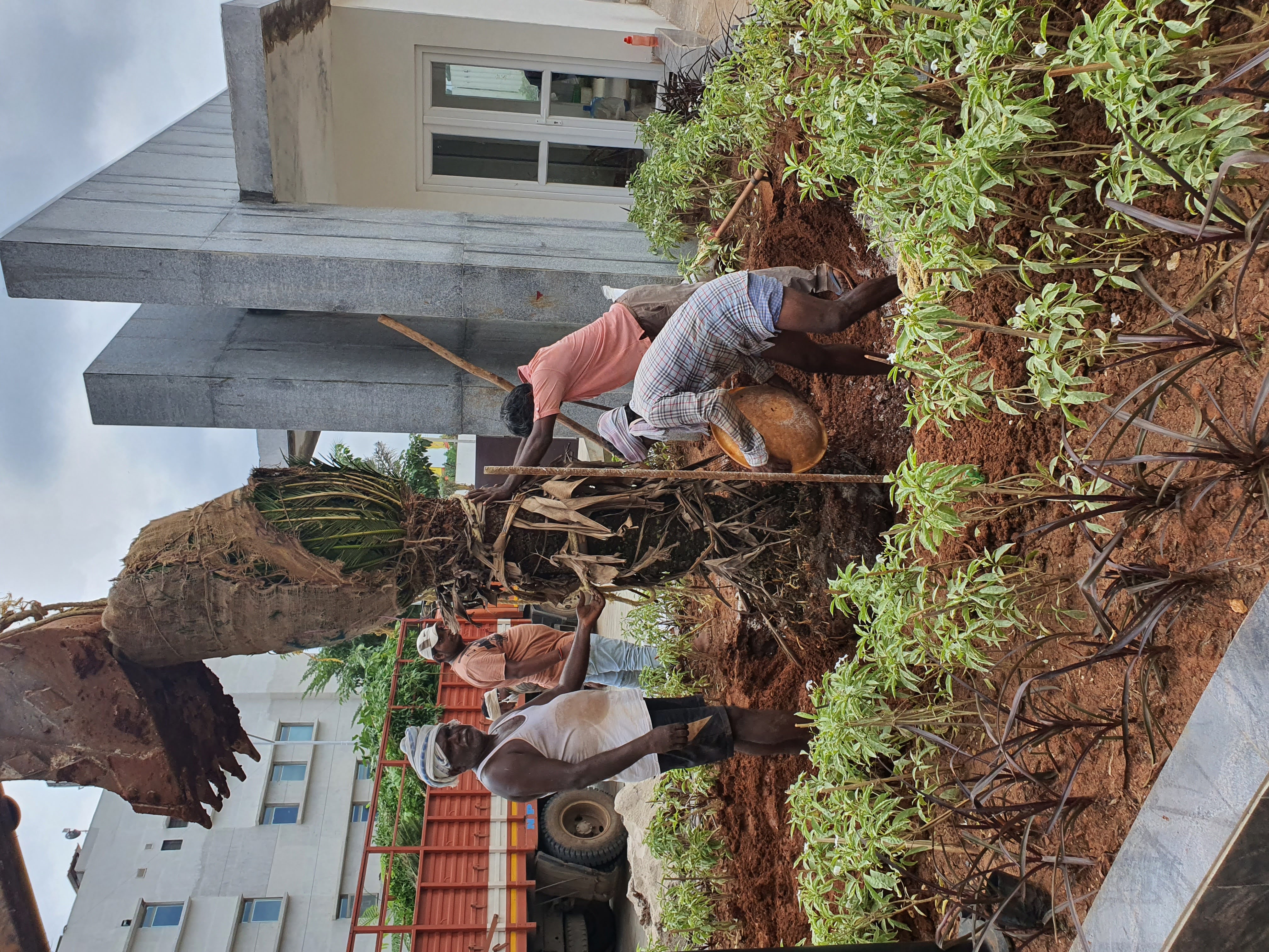 Garden maintenance image