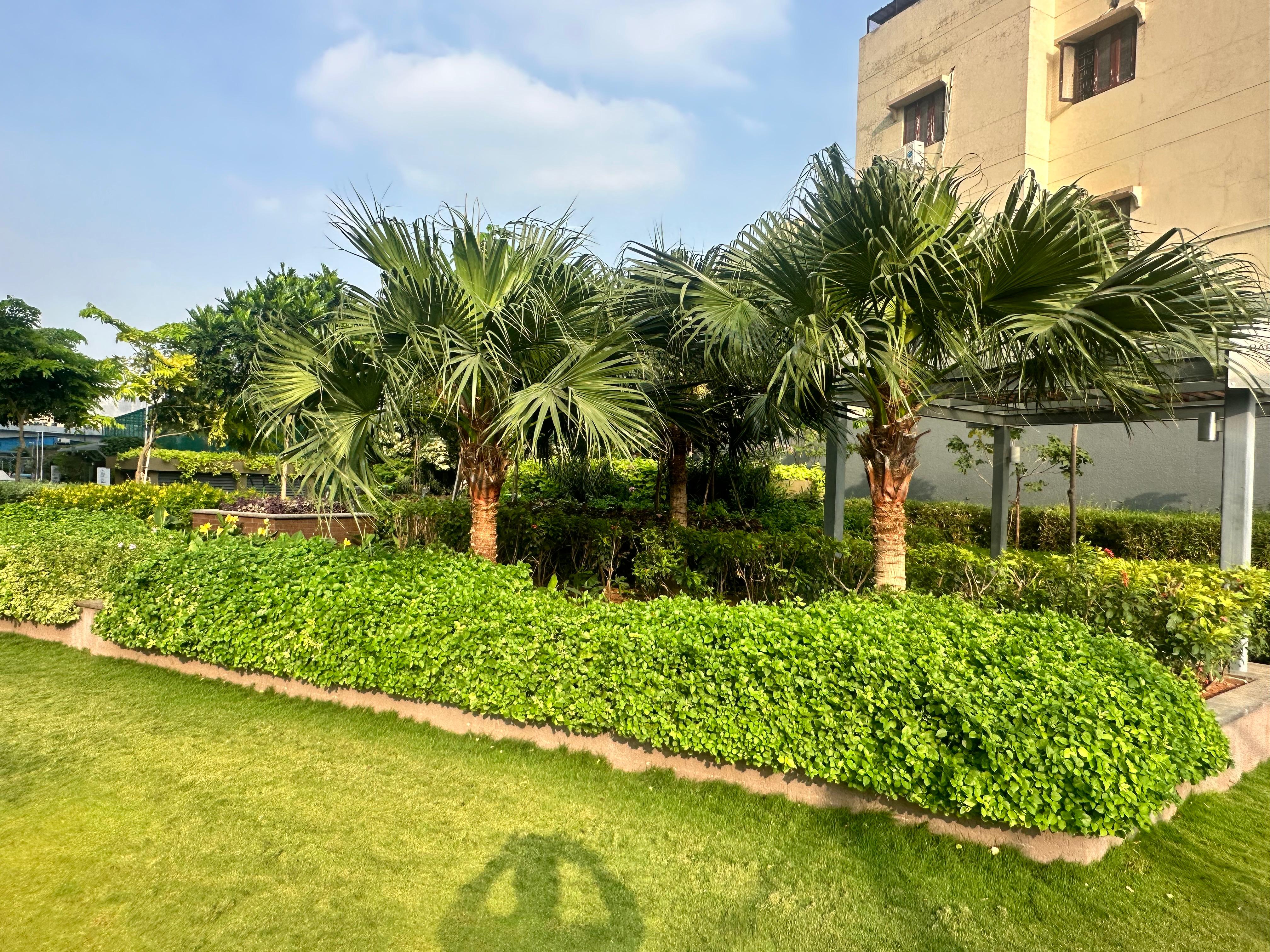 Softscaping image